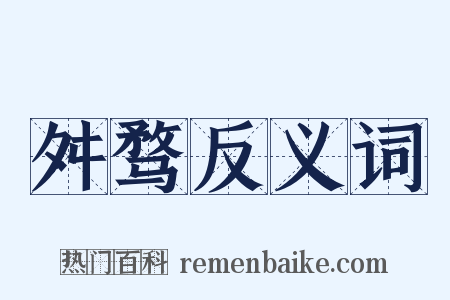 舛骛反义词是什么意思的图片